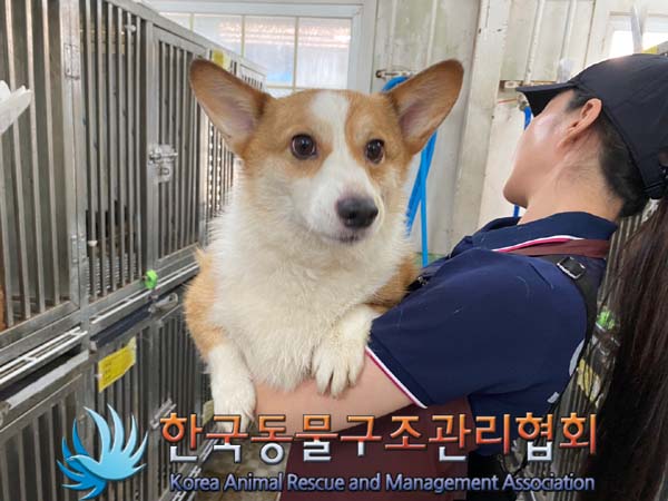 한국동물구조관리협회_441409202401120